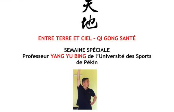 Stages de Qi Gong avec le professeur Yang Yu Bing