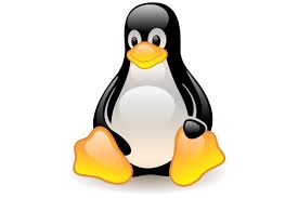Les logiciels libres, une vraie manne?