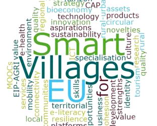 Transition numérique et smart village