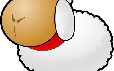 Brie&rsquo;Nov recrute son chef de projet